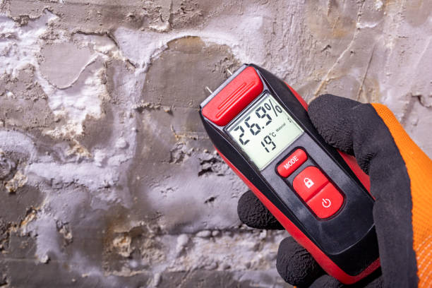 Certified Mold Removal in Clovis, NM