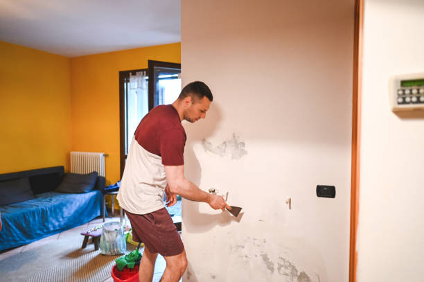 Best Mold Cleaning Services  in Clovis, NM